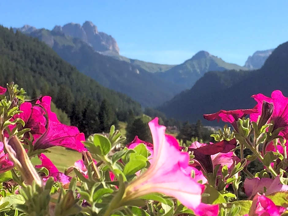 Alpine Touring Hotel-petfriendly