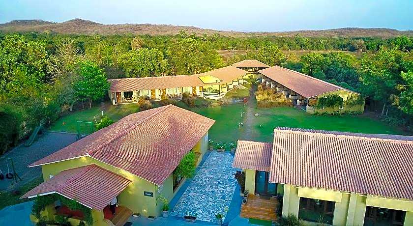 Asiatic Lion Lodge