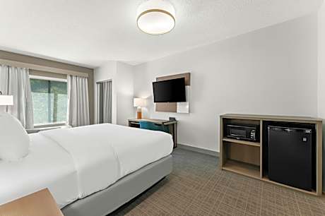 King Room - Non-Smoking