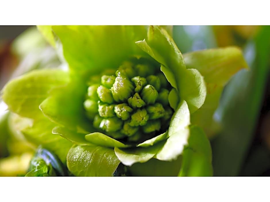 Sukayu Onsen Hakkoda Hotel - Vacation STAY 66845v