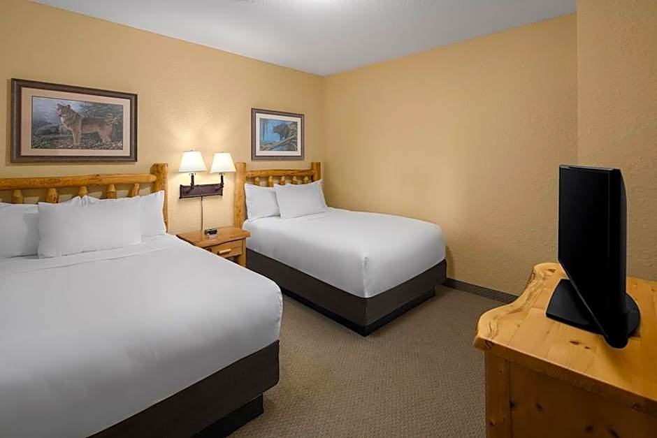 Great Wolf Lodge Wisconsin Dells
