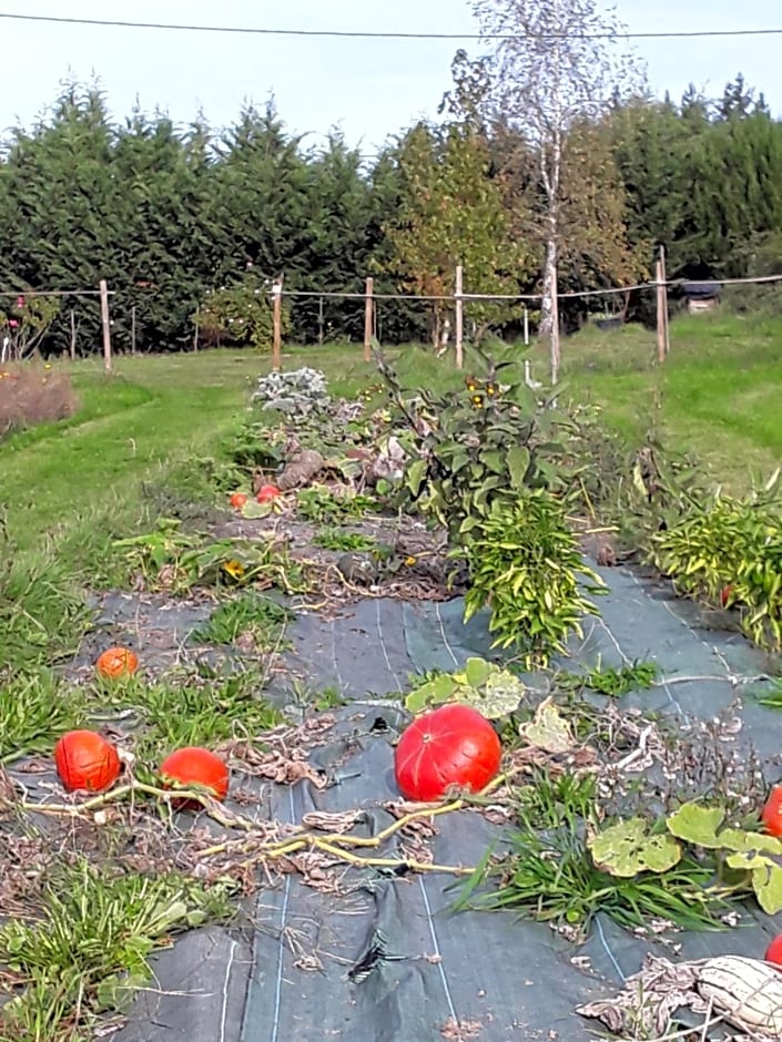 la roulotte de l'ami nature