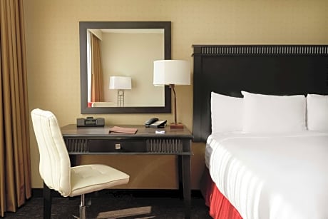 1 King 2 Room Garden View Suite With Sofa Bed