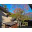 Innterhill Tsubasa Yufuin - Vacation STAY 94222v