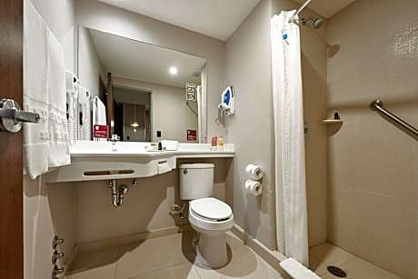 Suite, 1 Queen Bed with Sofa bed (1 Queen Bed and 1 Double Sofa Bed)