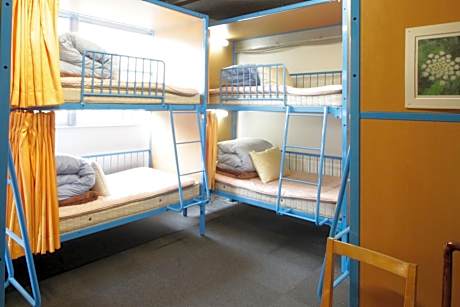 Bunk Bed in Mixed Dormitory Room