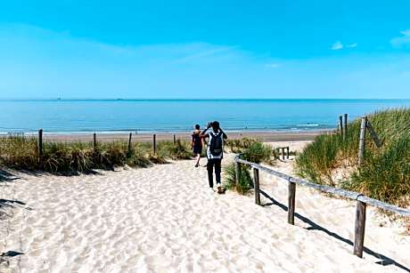 The Flying Pig Beach Hostel Age 18 to 40