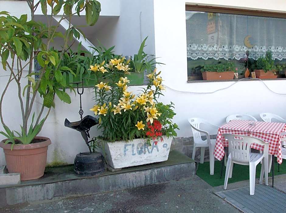 Pension Flora Albergo