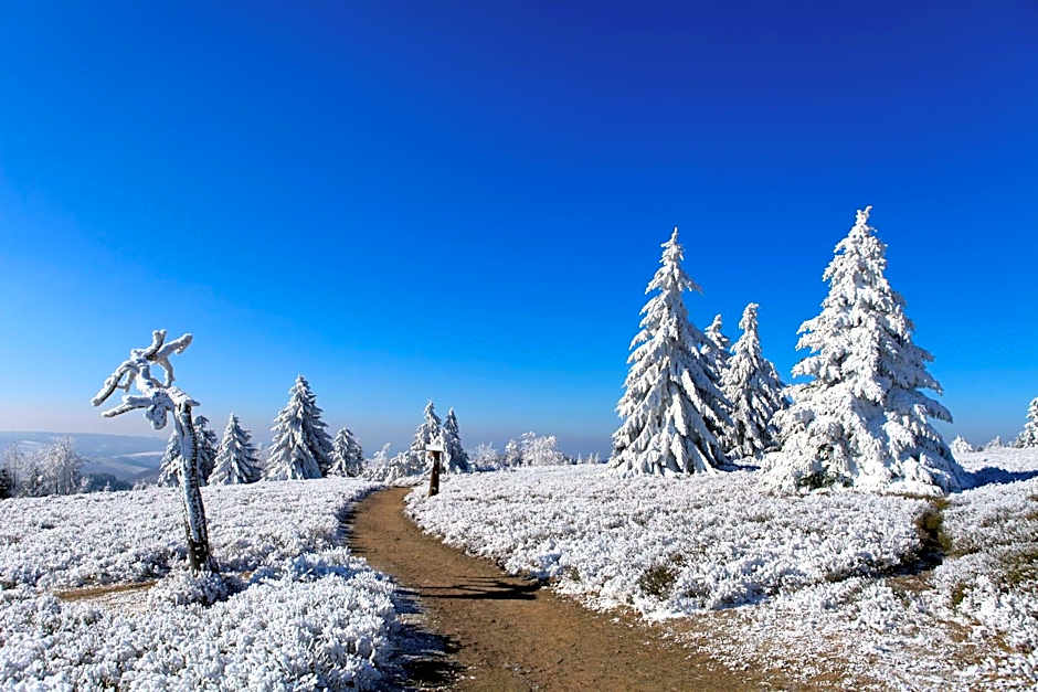 Hapimag Ferienwohnungen Winterberg