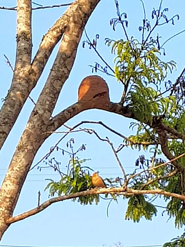 Pousada Campestre Cunha-SP