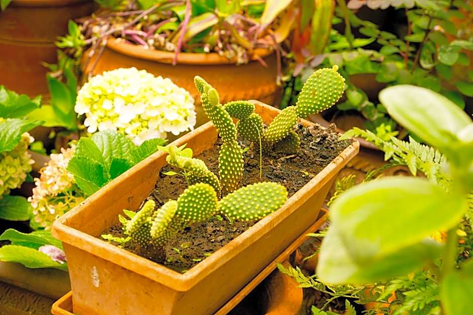 Brackenhurst Conference and Retreat Centre