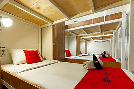 Bunk Bed in Female Dormitory Room