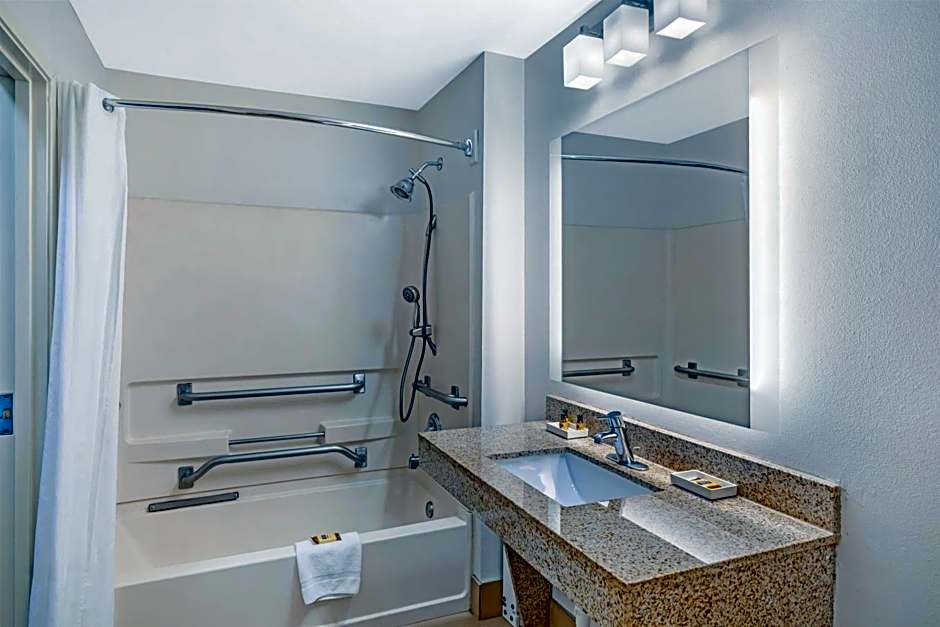 Best Western Plus McDonough Inn & Suites