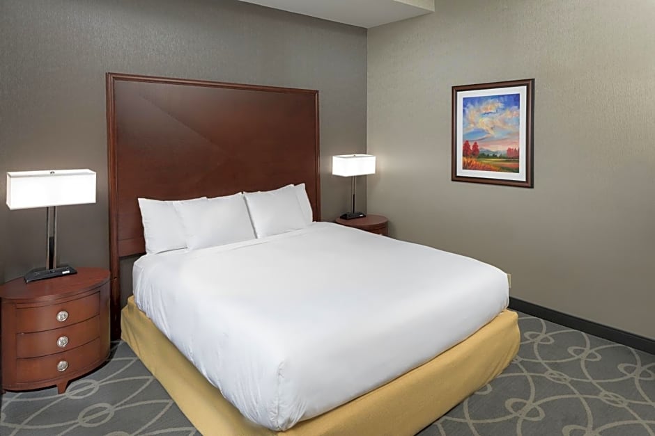 DoubleTree by Hilton Biltmore/Asheville