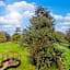 Hotel Chateau de Didonne