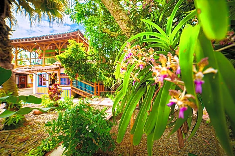 Eco Hotel Las Palmas