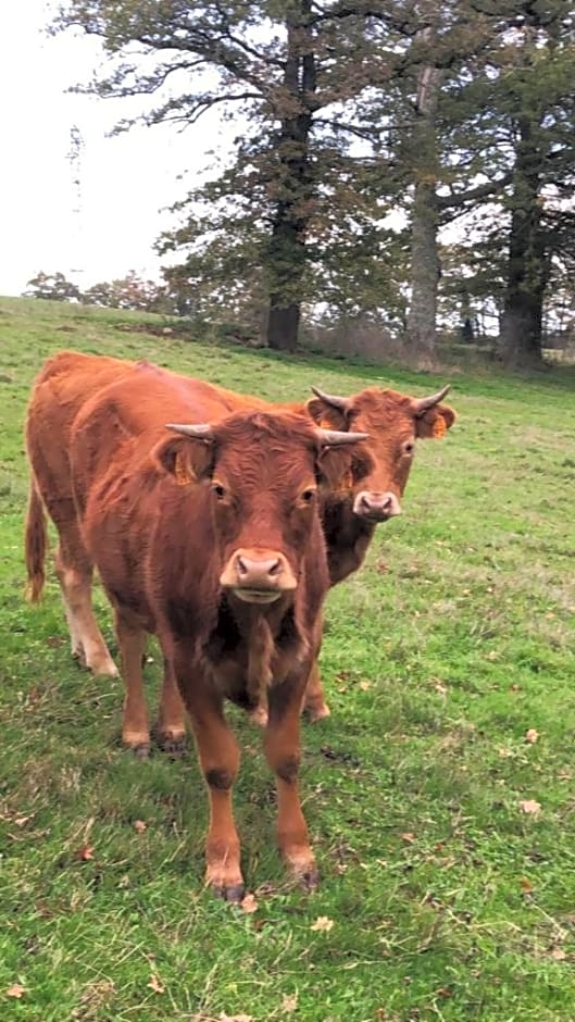 Le Cerisier Saint-Barbant