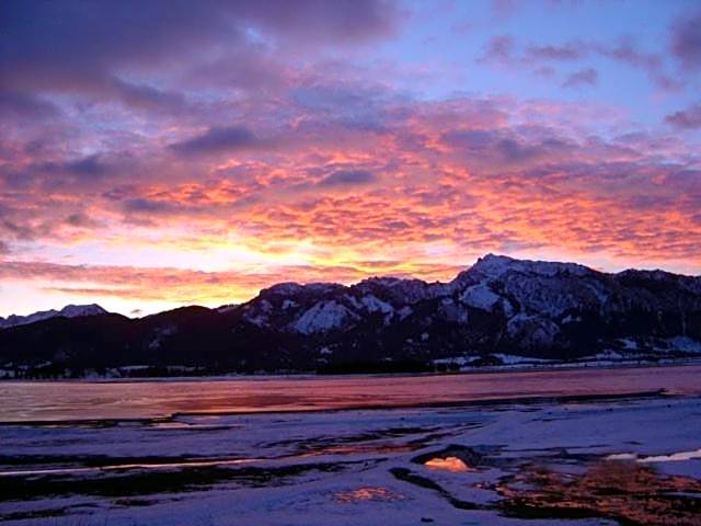 Cafe Maria - Pension - B&B