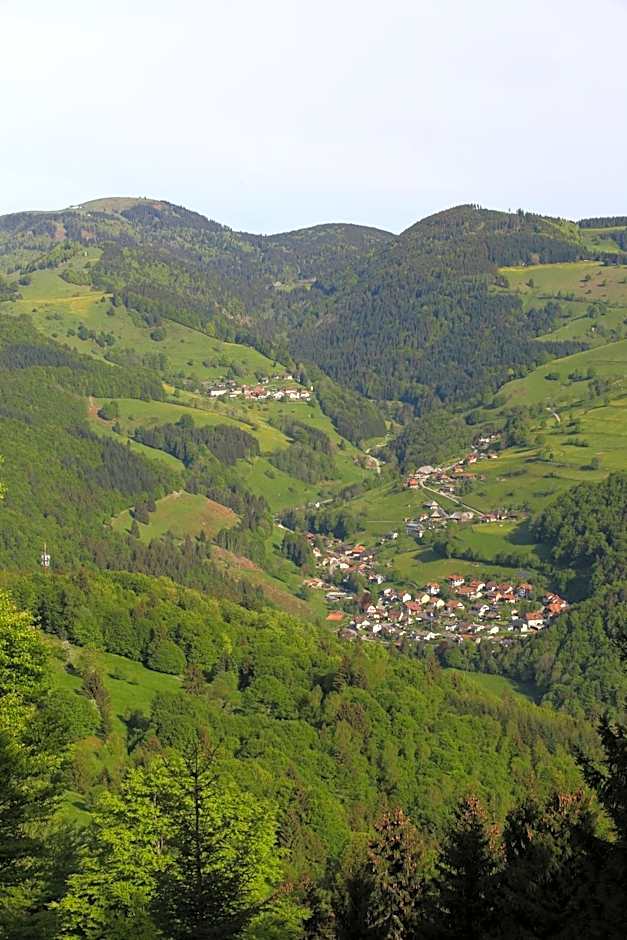 Hotel Kirchbühl im Schwarzwald Hôtel