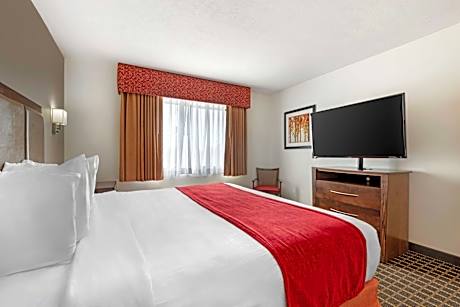 Apartment 1 King 1 Queen Non-Smoking 2 Bedrooms Sofabed Kitchen Living Room Wi-Fi Full Breakfast