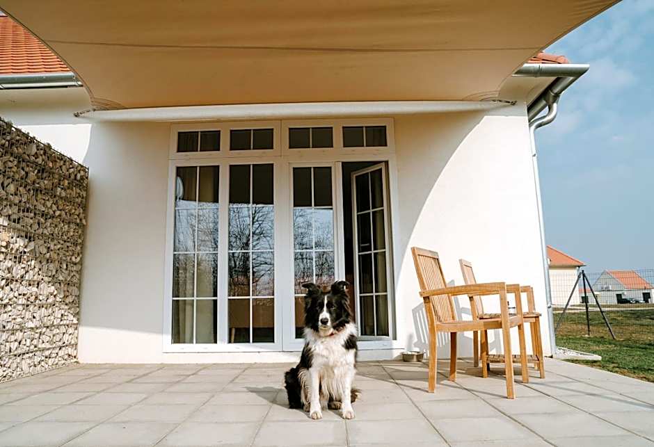 Chalets Franciska Major, Pro Village