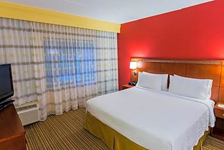 One-Bedroom King Suite with Sofa Bed and Balcony