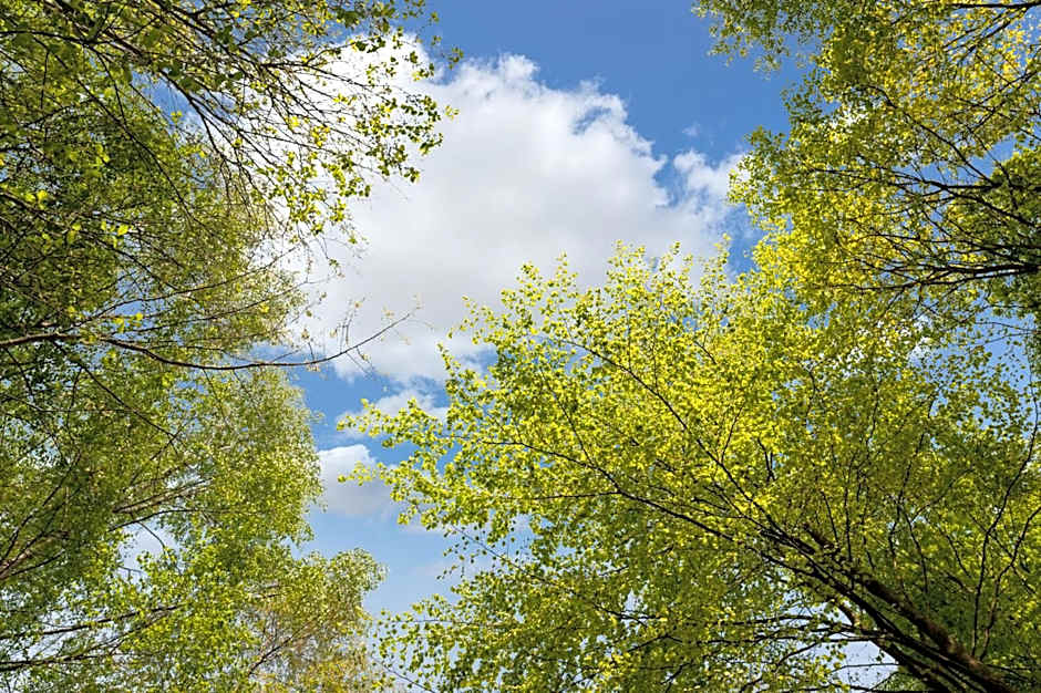 The Originals City, Hotel Eden, Rouen Nord (Inter-Hotel)