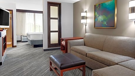 King Room with Sofa Bed