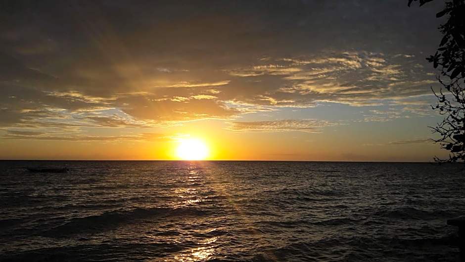 Gecko Nature Lodge Home of Swahili Divers the BEST dive center and Famous Gecko Restaurant