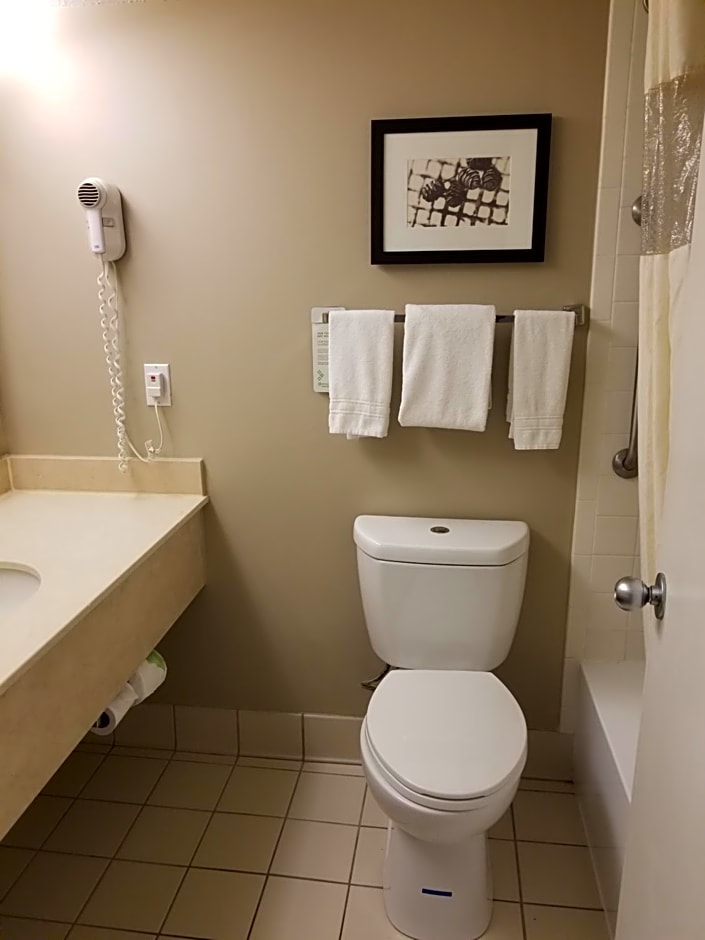 Wyndham Garden Gainesville – Gainesville, FL