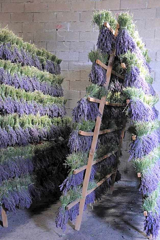 Château de la Gabelle Férrassières