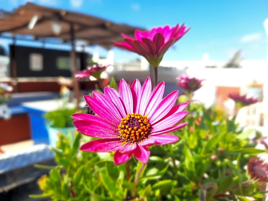 Finca Sueño de Vida