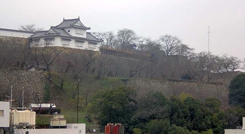Tsuyama Central Hotel Annex