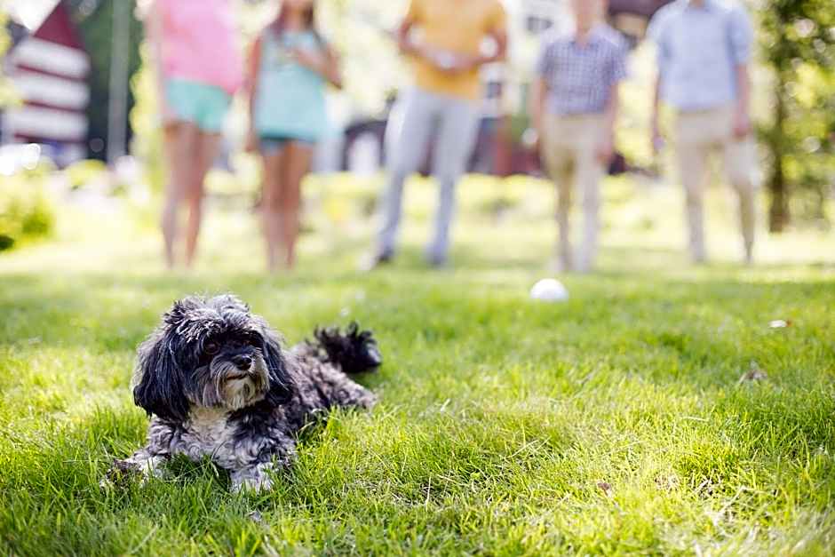 Hotel Savoy Špindlerův Mlýn