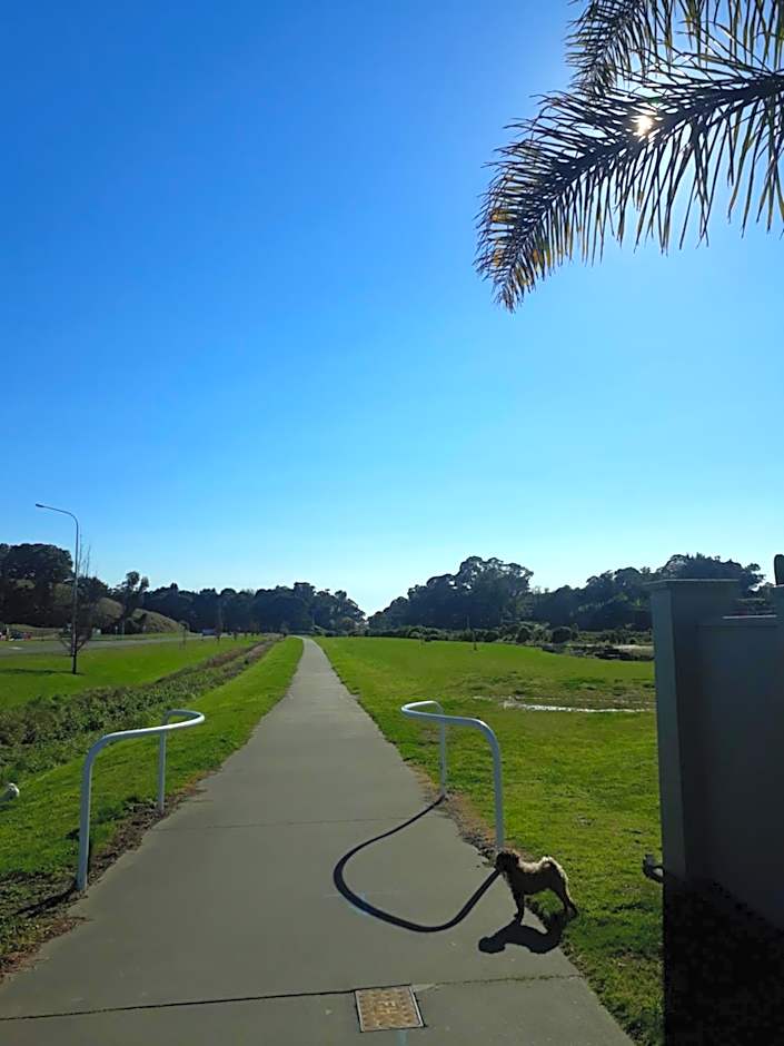 Hidden Gem in Oaklands