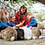 Vakantiepark Dierenbos