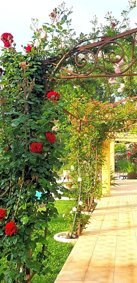 La Dolce Vita Opio – Opio, CT
