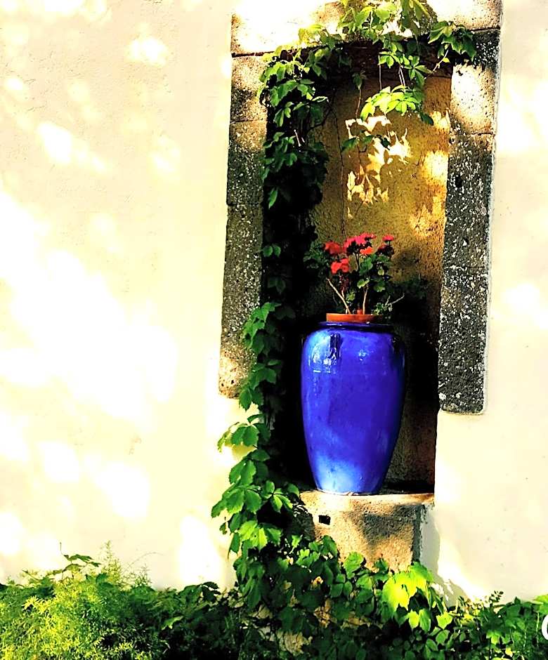 Les jardins du Patriarche Hôtel