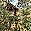 cabanes perchees dans les arbres