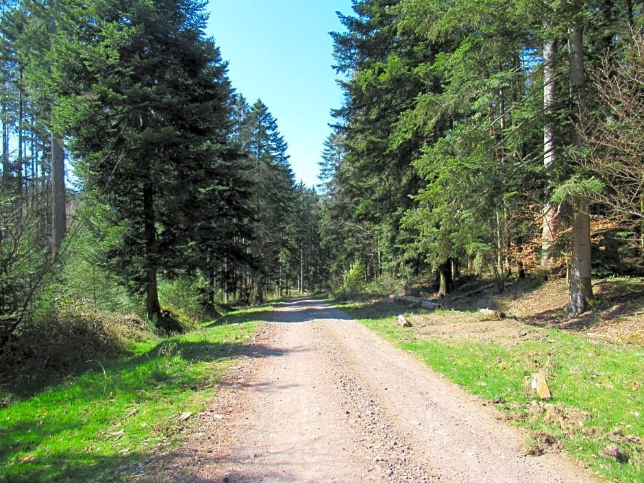 Le Clos d'Auré.