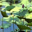 JiaXing Bluetown Lotus Resort