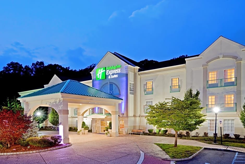 Holiday Inn Express Mount Arlington