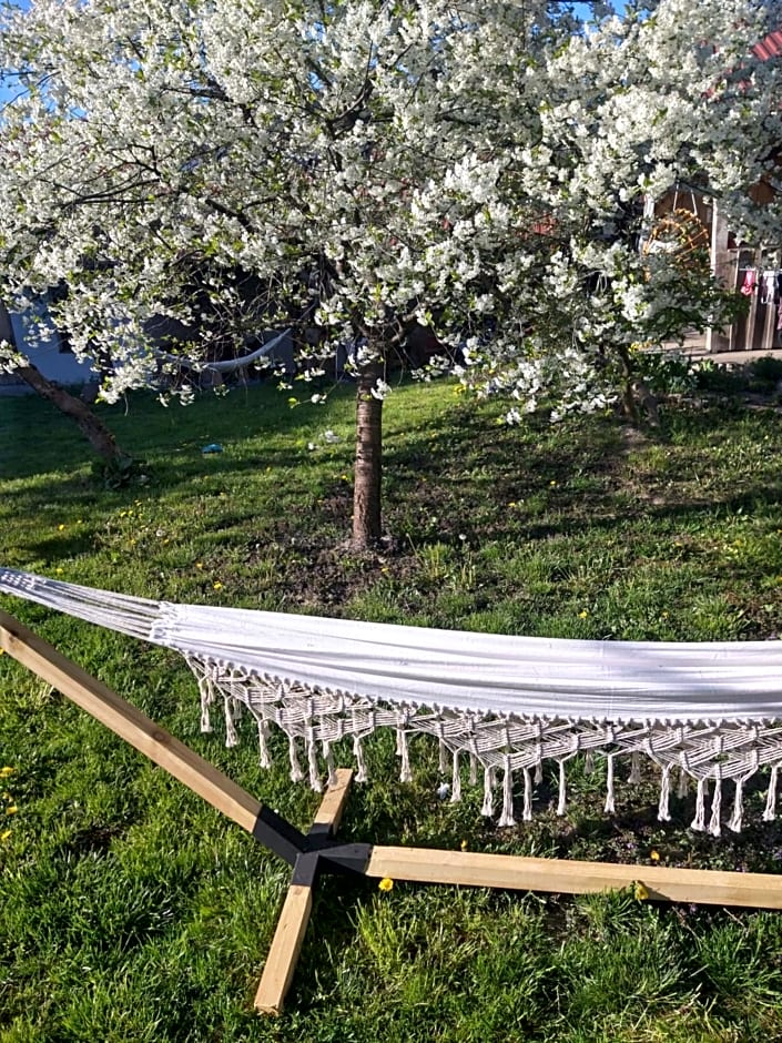 Agroturystyka Cold Sea