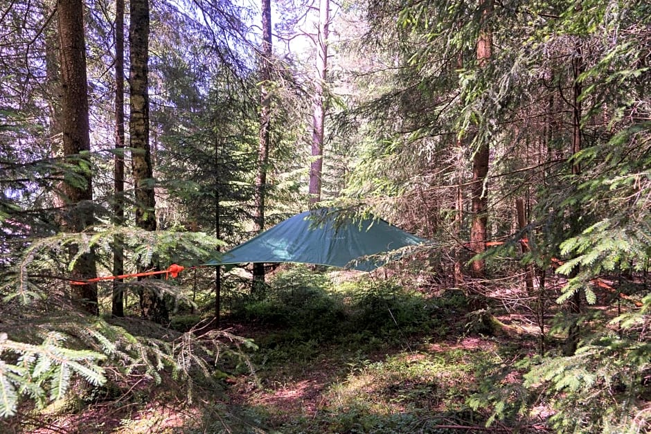 Baumzelt im Wald