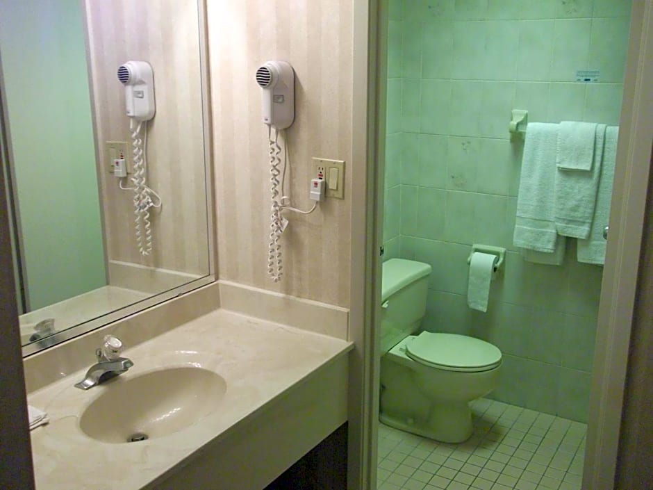 Travelodge by Wyndham Niagara Falls Lundys Lane