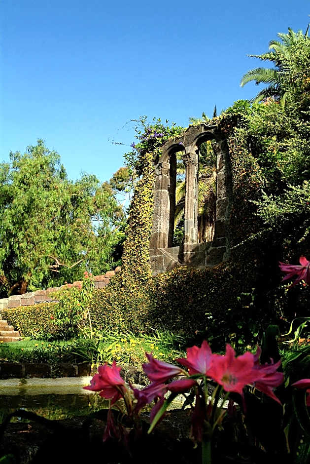 Madeira Bright Star by Petit Hotels