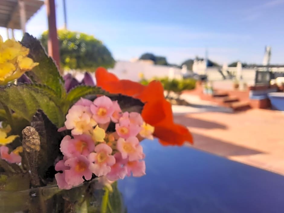 Finca Sueño de Vida