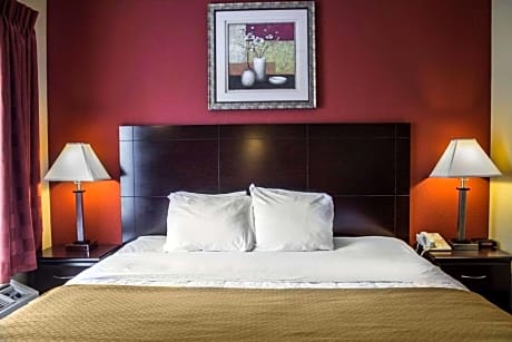 1 King Bed, Suite, Nonsmoking