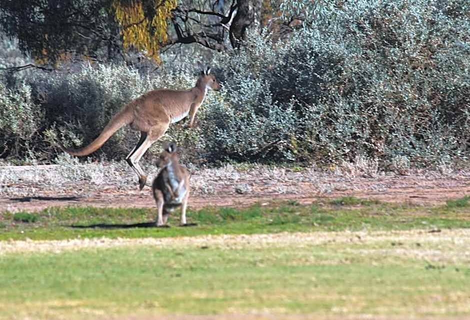 Renmark Country Club