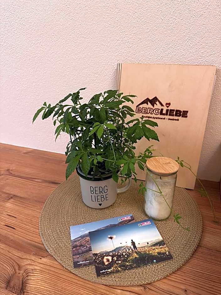 Boutique Apartment BERGLIEBE, ski in-out